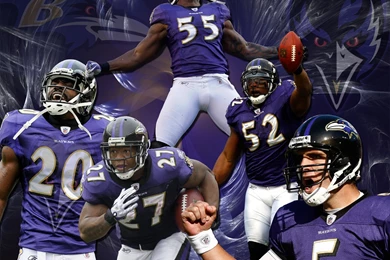 Baltimore Ravens Wallpapers 114921