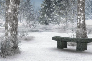 Backgrounds Wallpapers   5529