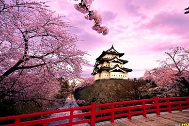 Hirosaki Castle HD Wallpapers