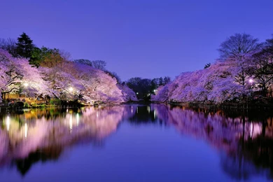 Download Japan Wallpapers For Mac