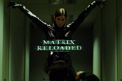 Matrix Reloaded Wallpapers And Images   Wallpapers, Pictures, Photos