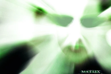 Matrix Reloaded Wallpapers And Images   Wallpapers, Pictures, Photos