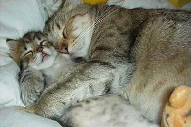 SevenString.org   View Single Post   Fuck You, Life.