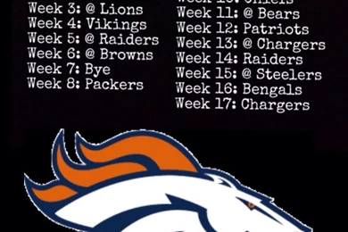 Go Denver Broncos! On Pinterest