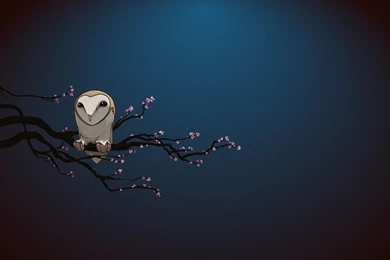 Cartoon Owl Wallpapers