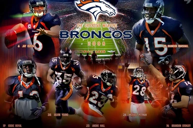 Denver Broncos Schedule 2013 2014 Printable