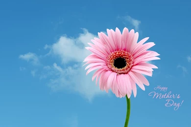 Mother's Day Wallpapers, Printable Mother's Day Cards By Kate.net