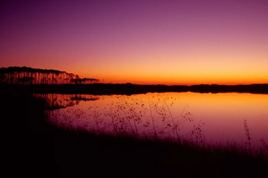 Beautiful Sunset Wallpapers   HD Wallpapers Lovely