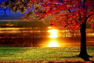 Beautiful Sunset Backgrounds   Imgtagram