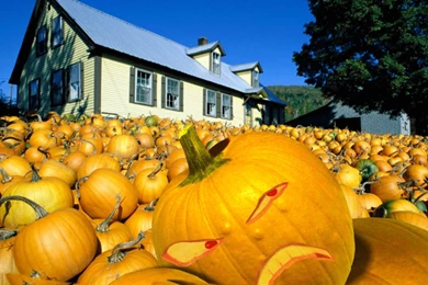 Free Halloween Wallpapers   Mmw Blog: Halloween Desktop HD Wallpapers