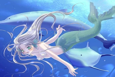 Mermaid Anime Wallpapers Downloads 11449   Amazing Wallpaperz