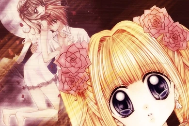 Mermaid Wallpapers Tag   Amazing Wallpaperz