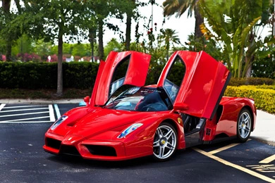Ferrari Enzo Red And Black   Image
