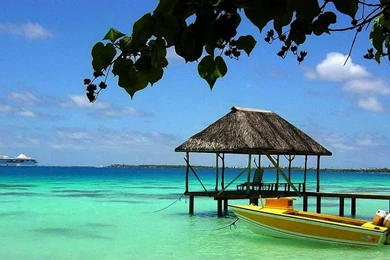 Charters, Search, Boat, Sailing, Tahiti, Wallpapers (