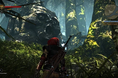 The Witcher 2: Assassins Of Kings