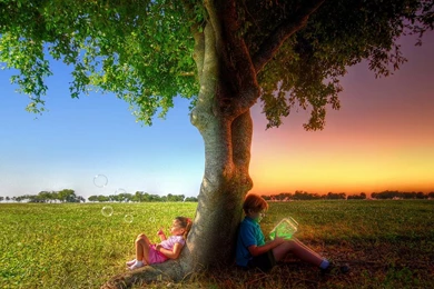 LIKE NIGHT AND DAY WALLPAPER   (