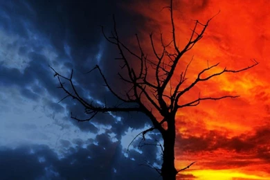 Day And Night Wallpapers   (