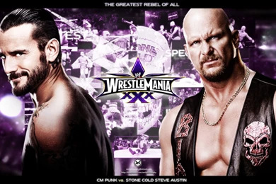 Stone Cold Steve Austin Vs. CM Punk By Takezer0 On DeviantArt