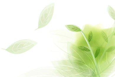 Backgrounds Wallpapers Pattern Pattern 2440   Backgrounds Patterns ...