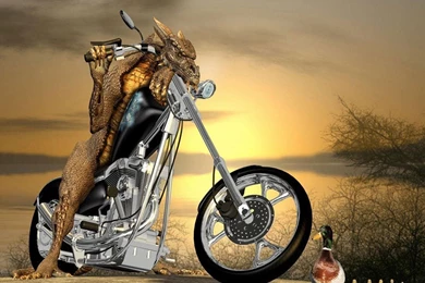 Best Funny Images Download