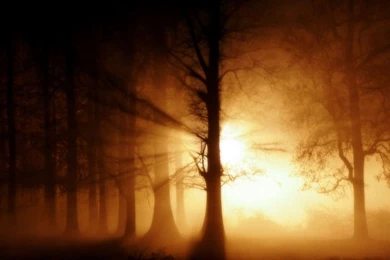 Wallpapers catalogue.com   Mystical Wallpapers   Ghost Fog In ...