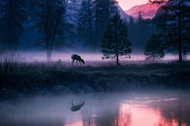 Desktop Wallpapers · Gallery · Nature · Mystical Waters Yosemite ...