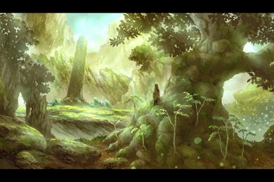 MYSTICAL FOREST WALLPAPER   (