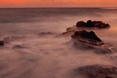 Mystical Reef iPhone 5s Wallpapers Download