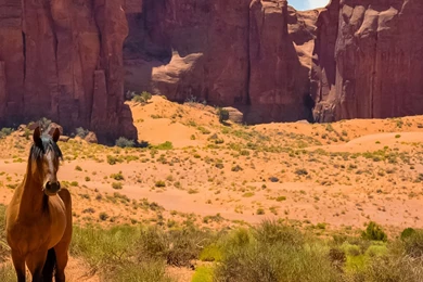 Download Wallpapers 3840x1200 Horse, Usa, Arizona, Monument Valley ...