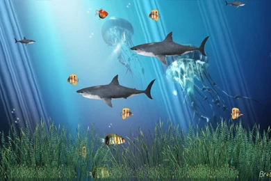 Gif Wallpapers Windows 7   Wallpapers Cave