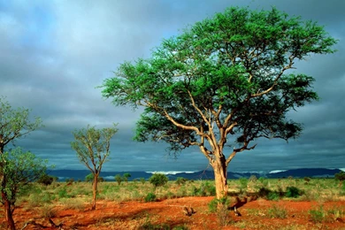 Natural Landscape Wallpapers 1298