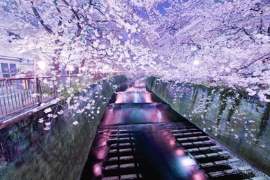 Tokyo Desktop HD Wallpapers, Tokyo Images Free, New Wallpapers