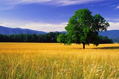 Nature Landscape Desktop Wallpaper, Nature Landscape Images