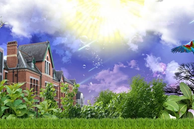 Gorgeous Natural Landscape (Wallpaper) V2 By Oguzburaksipsak On ...