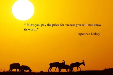 Success Wallpapers ~ Toptenpack.com