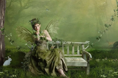 1280x800 Fairy Desktop PC And Mac Wallpapers