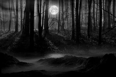 Dark Forest, Wallpapers Metal Nature: Heavy Metal Wallpapers ...