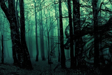 Dark Dense Forest