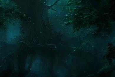 Hunter In The Dark Forest Wallpapers   Fantasy Wallpapers