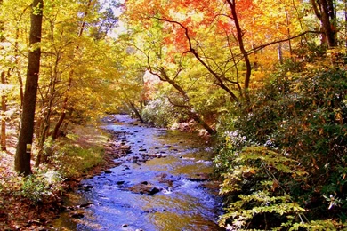 My Business   Free Christian / Landscape Wallpapers