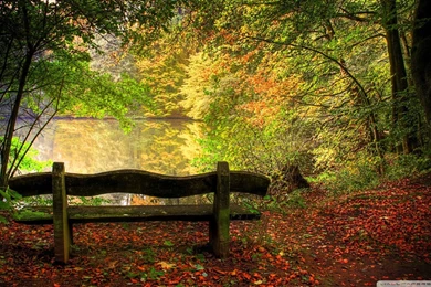 Download Fall Is But A Dream Wallpapers 1920x1080