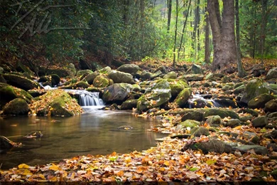 Enchanted Forest And Waterfall Free Desktop Wallpapers Image