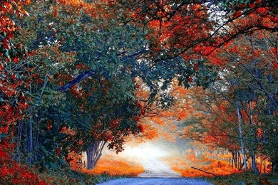 Early Autumn Free Desktop Backgrounds And Wallpapers