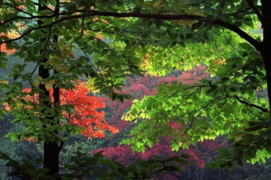 Early Fall Pictures   HD Wallpapers Lovely