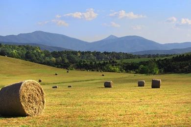 FREE SMITH MOUNTAIN LAKE WALLPAPER   Page 02