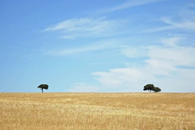 Backgrounds Pictures For Desktop Free Download 12 Photos Of ...