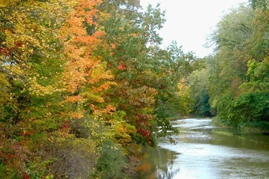 Cloudeight Free Desktop Wallpapers