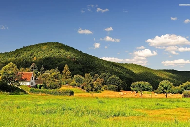 Early Autumn On The Field Wallpapers