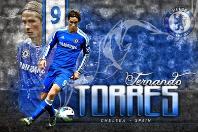 Fernando Torress Android Mobile Professional Football Tips ...