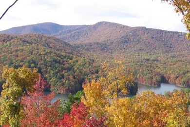 Sugergioter: Fall Colors Wallpapers